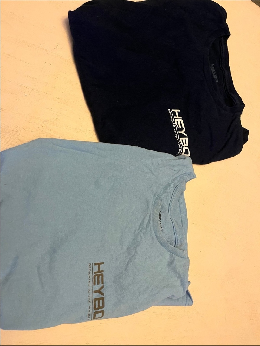 Heybo Short Sleeve Logo Tee - Light Blue and Navy